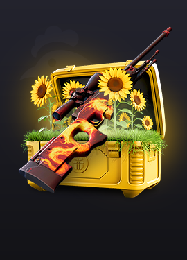 SUNSHINE Key-Drop csgo_skins case art