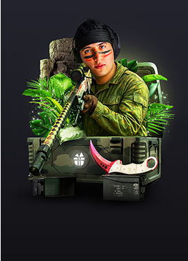 CACHORRO Key-Drop csgo_skins case art